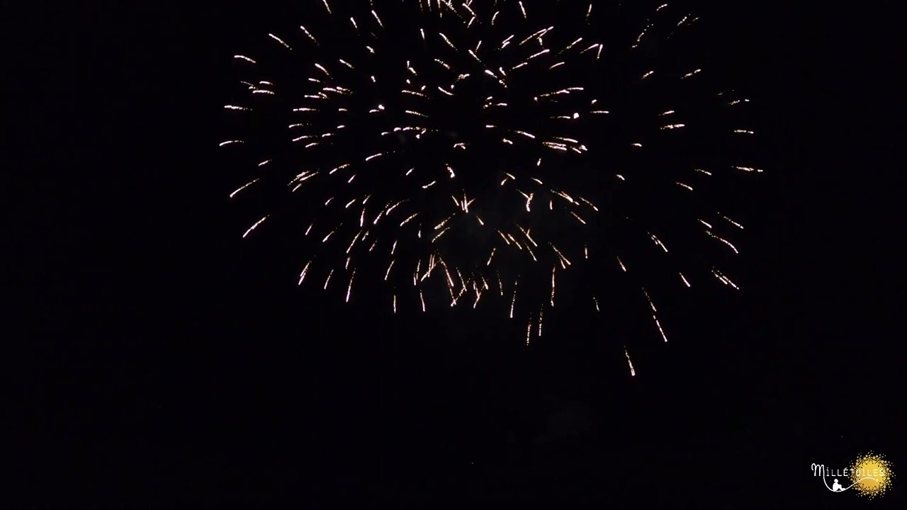 Feux d'artifice : explosion pyrotechnique, illuminez vos festivités -  Réveillon