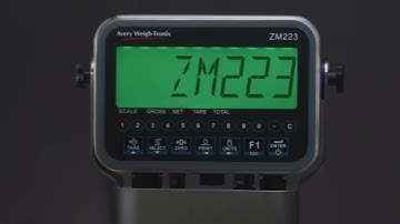 ZM223 Weight Indicator Overview
