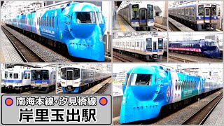 【南海本線・汐見橋線】岸里玉出駅で見られた列車達／2024年5月　#KAZUの鉄道館