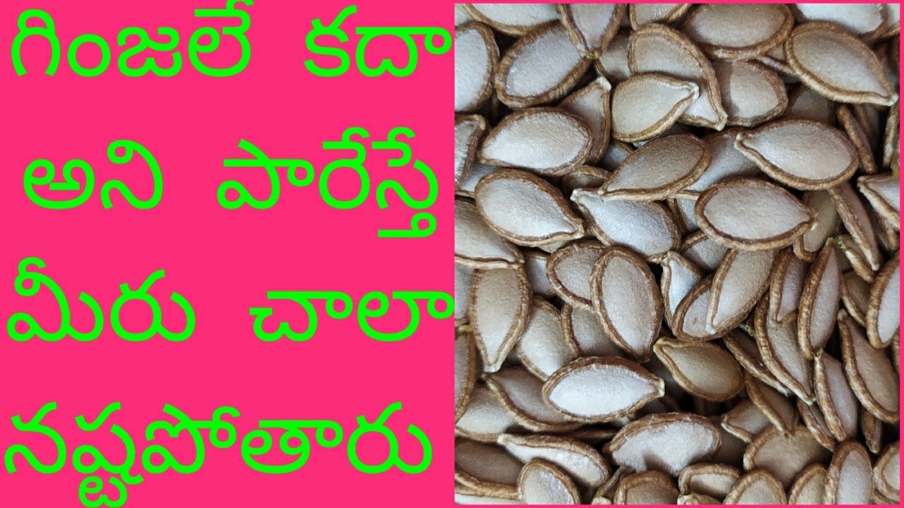 Pumpkin Seeds Uses In Telugu