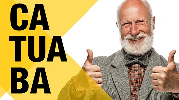 Como tomar o pó de catuaba?