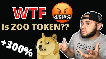 WTF is ZOO TOKEN? Is ZOO Token A Top Gainer??