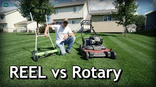 Reel vs Rotary Lawn Mowers // Pros and Cons, Cut Quality, How To