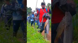 Lagu mancing , biar tambah semangat !!