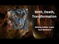 Shelley adams jones  soul medicine birth death and transformation