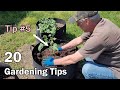 20 gardening tips that any gardener can use  beginner or experienced