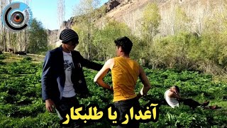 فیلم زیبای 