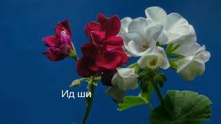 картинка: Амжилтын тарни. Мөрөөдөл биелдэг юм. Амжилтанд хүрэх арга. Далд ухамсар бүхнийг чадна.