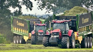 grass silage with case puma 200  and a case optum 240