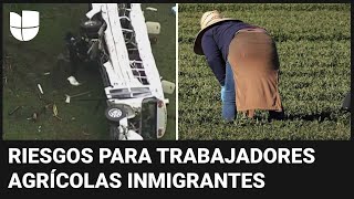 ¿Qué riesgos corren los trabajadores agrícolas inmigrantes en Florida? Experto explica by Univision Noticias 13,303 views 8 hours ago 5 minutes, 57 seconds