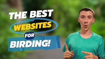 The 5 MUST HAVE Apps and Websites For Bird Watching!