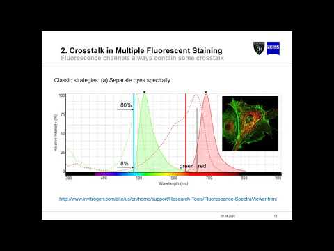 Video: Pagsusuri Sa Spectral At Mga Uri Ng Spektra