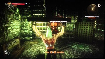 The Witcher 2 Playthrough Part 15