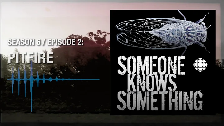Pitfire: Episode 2, Season 6 | Someone Knows Somet...