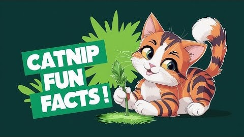 Fun Facts About Catnip: How It Gets Cats High & Makes the Perfect Treat