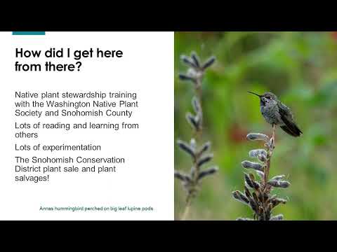 Video: Northwest Pollinator Plants: kweek een PNW Bestuivingstuin