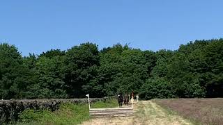 Farnley Tyas Equ Madalane