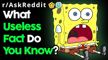 The Most Useless But Interesting Facts (r/AskReddit Top Posts | Reddit Stories)