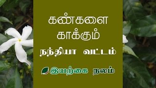 கண் பார்வை அதிகரிக்க நந்தியாவட்டை பூ | Nanthiyavattai Flower Uses in Tamil | Nandiyavattai Flower
