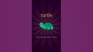 How to make turtle in Little Alchemy 2 #game #littlealchemy #gamedesign #gamedevelopment