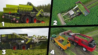 Hemp Harvest 2019 XXL with 4 harvesters | 3 Claas Xerion 4000 | Dun Agro