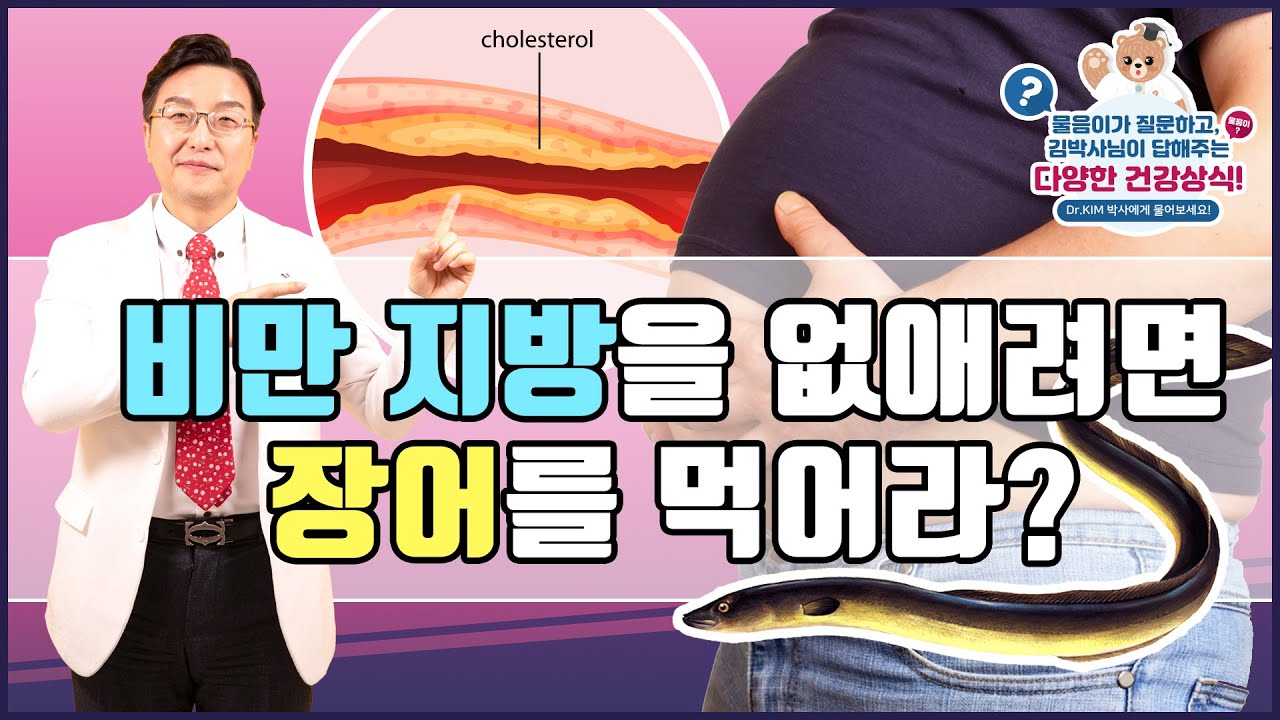[김응석박사/물음표스토리] 비만 지방을 없애려면 장어를 먹어라?