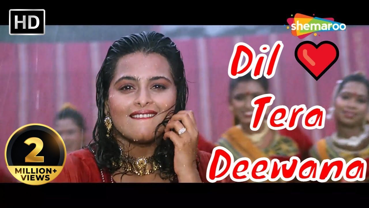 Dil Tera Deewana Hai  Kumar Sanu Hit songs  Sunil Shetty  Shilpa Shirodkar  Raghuveer 