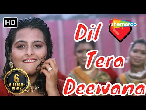 Dil Tera Deewana Hai Kumar Sanu Hit Songs Sunil Shetty Shilpa Shirodkar Raghuveer