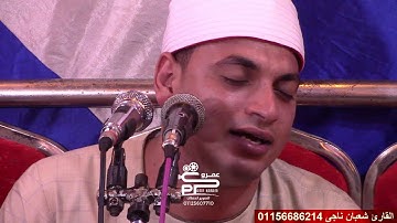 سورة لقمان أفراح عائلات عبدالصالحين ملوى المنيا صعيد مصر القارئ شعبان ناجى 2021