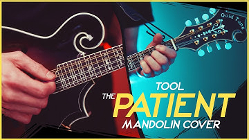 Tool - The Patient (Mandolin Cover) by Mando Lorian