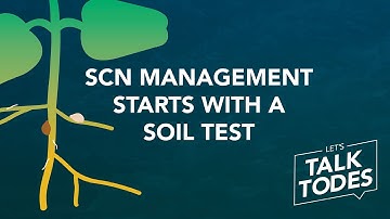SCN management starts with a soil test