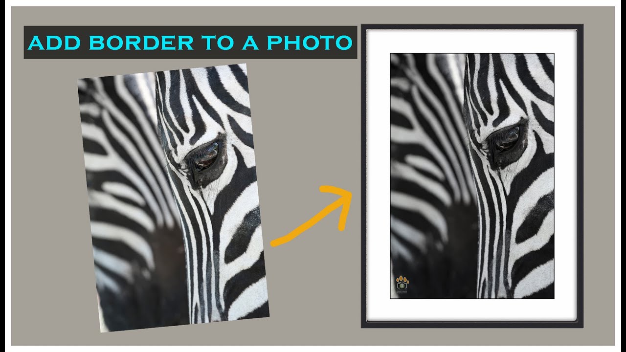 How to create border around photo in Photoshop II Beginners tip - YouTube