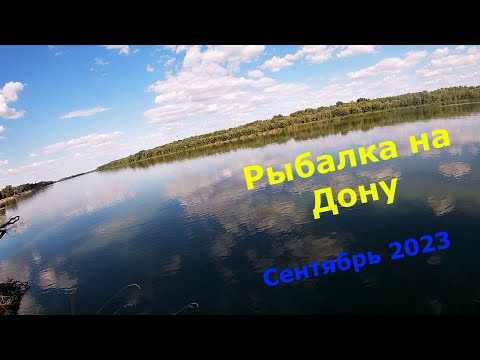 Рыбалка на Дону! Сентябрь 2023!