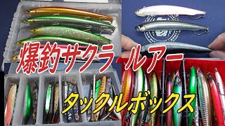 2025年爆釣サクラマス ルアーに期待してますよ - YouTube