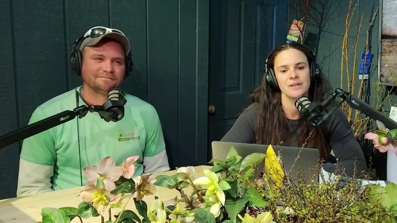 Lots of vine questions, winter shrub issues, late winter fever! | Gardening Inside Out | Feb 17