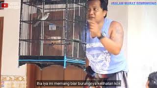 Manuk e ketok
