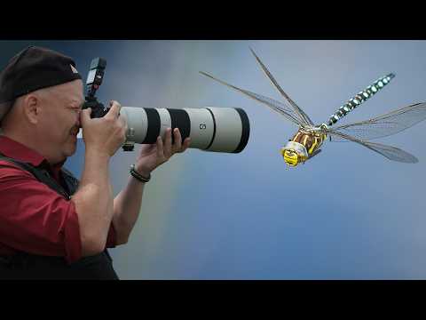 Dragonflies in flight with Jamie Spensley