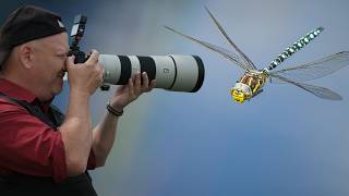 Dragonflies in flight with Jamie Spensley screenshot 3