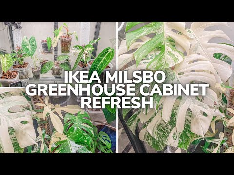 Ikea Milsbo Tall