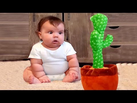 Funny Baby Reactions