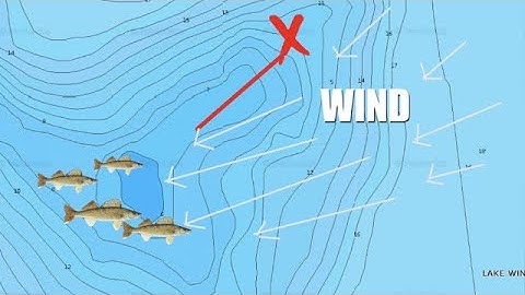 How to Locate and Catch Walleyes on Reefs (Pro Tips)