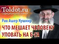 Рав Ашер Кушнир. Что может мешать человеку уповать на Б-га? Обязанности сердец 86