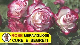 ROSE MERAVIGLIOSE TRUCCHI E SEGRETI