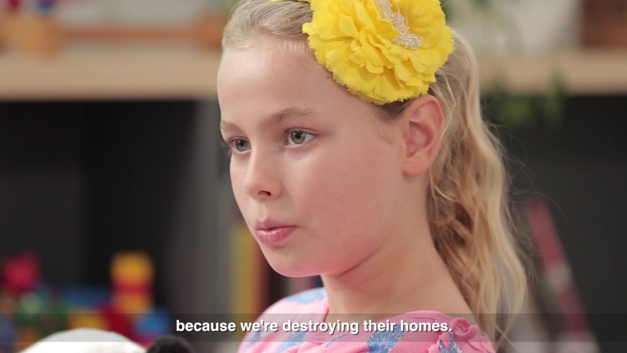 Kids On: Favourite Animals