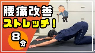 【腰痛改善ストレッチ】腰回りの筋肉の柔軟性を改善！