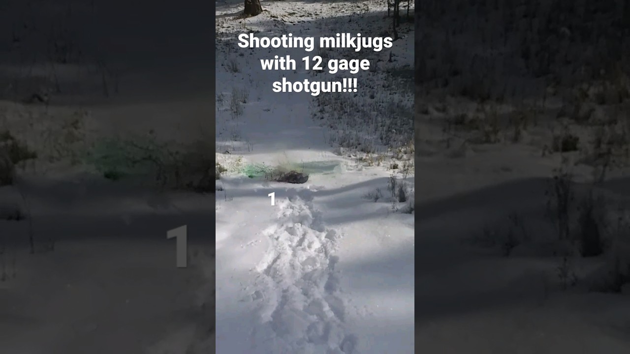 Shooting milkjugs with 12 gage shotgun!!!!!
