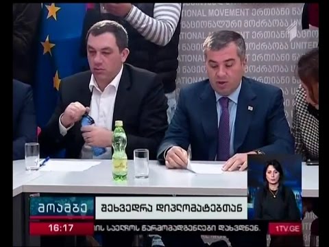 ენმ-ს ლიდერები დიპლომატიური კორპუსის წარმომადგენლებს შეხვდნენ