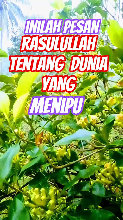inilah pesan Rasulullah. tentang cinta dunia  #dakwah #infoislami #shorts #dosa #seputardakwah