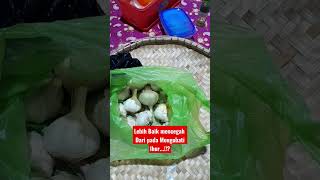 CARA MENCEGAH DAN PENANGANAN WFD ATAU BERAK PUTIH PADA UDANG MENGGUNAKAN BAWANG PUTIH #shorts
