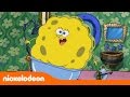 Bob Esponja Un Día Como Este Nickelodeon En Español Bob Esponja Un Día Como Este Nickelodeon En Español